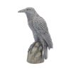 Ravens Rest 16cm Ravens Back in Stock