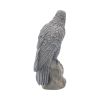 Ravens Rest 16cm Ravens Back in Stock