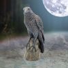 Ravens Rest 16cm Ravens Out Of Stock