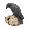 Ravens Remains 13cm Ravens Gifts Under £100
