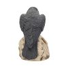 Ravens Remains 13cm Ravens Gifts Under £100