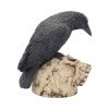 Ravens Remains 13cm Ravens Gifts Under £100