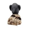 Ravens Remains 13cm Ravens Gifts Under £100