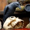 Ravens Remains 13cm Ravens Statues Small (Under 15cm)