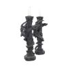 Guardians of the light (Set of 2) 28cm Dragons Year Of The Dragon