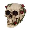 Rose From Beyond 15cm Skulls Valentine's Day Promotion