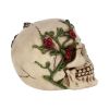 Rose From Beyond 15cm Skulls Valentine's Day Promotion