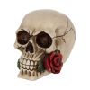 Rose From the Dead 15cm Skulls Gifts Under £100