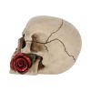 Rose From the Dead 15cm Skulls Statues Medium (15cm to 30cm)