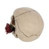 Rose From the Dead 15cm Skulls Gifts Under £100