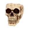 Lobo 14.5cm Skulls Roll Back Offer