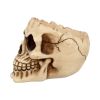 Lobo 14.5cm Skulls Gifts Under £100