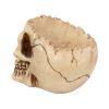 Lobo 14.5cm Skulls Roll Back Offer