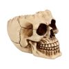 Lobo 14.5cm Skulls Roll Back Offer
