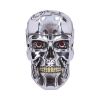 T-800 Terminator Head 23cm Sci-Fi Back in Stock