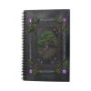 Dream Book (21cm) Witchcraft & Wiccan Gifts Under £100