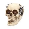 Clockwork Cranium 15cm Skulls Statues Medium (15cm to 30cm)