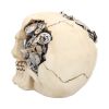 Clockwork Cranium 15cm Skulls Statues Medium (15cm to 30cm)