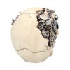 Clockwork Cranium 15cm Skulls Statues Medium (15cm to 30cm)