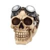 Goggles 15cm Skulls Statues Medium (15cm to 30cm)
