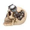 Goggles 15cm Skulls Statues Medium (15cm to 30cm)
