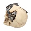 Goggles 15cm Skulls Statues Medium (15cm to 30cm)