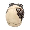 Goggles 15cm Skulls Statues Medium (15cm to 30cm)