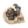 Goggles 15cm Skulls Statues Medium (15cm to 30cm)