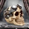 Goggles 15cm Skulls Statues Medium (15cm to 30cm)