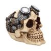 Goggles 15cm Skulls Statues Medium (15cm to 30cm)