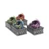 Dragon Safehold 8.4cm (Set of4) Dragons Year Of The Dragon
