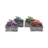 Dragon Safehold 8.4cm (Set of4) Dragons Year Of The Dragon