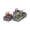 Dragon Safehold 8.4cm (Set of4) Dragons Year Of The Dragon
