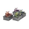 Dragon Safehold 8.4cm (Set of4) Dragons Out Of Stock