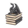 Secrets Of The Dragon 19cm Dragons Roll Back Offer
