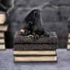 Secrets Of The Dragon 19cm Dragons Stock Arrivals