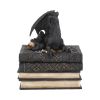 Secrets Of The Dragon 19cm Dragons Roll Back Offer