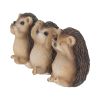 Three Wise Hedgehogs 9cm Animals Best Sellers