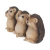 Three Wise Hedgehogs 9cm Animals Gifts Under £100