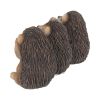 Three Wise Hedgehogs 9cm Animals Gifts Under £100