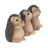 Three Wise Hedgehogs 9cm Animals Best Sellers