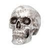 Rivet Head 19cm Skulls Gifts Under £100