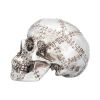 Rivet Head 19cm Skulls Statues Medium (15cm to 30cm)