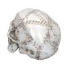 Rivet Head 19cm Skulls Statues Medium (15cm to 30cm)