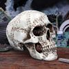 Rivet Head 19cm Skulls Statues Medium (15cm to 30cm)