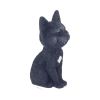 Count Kitty Cats Back in Stock