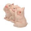 Three Wise Pigs 9.5cm Animals Out Of Stock