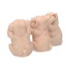 Three Wise Pigs 9.5cm Animals Statues Small (Under 15cm)