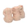 Three Wise Pigs 9.5cm Animals Out Of Stock