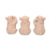 Three Wise Pigs 9.5cm Animals Statues Small (Under 15cm)